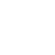 logo-embelie-paysagiste-conseil-reunion-974-190x190